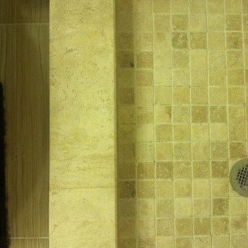 Royal Oak Basement & Bathroom