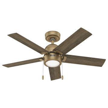 44" Erling Burnished Brass Ceiling Fan, LED Light Kit and Pull Chain