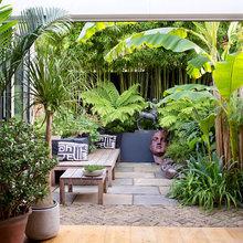 Raised planters for screening