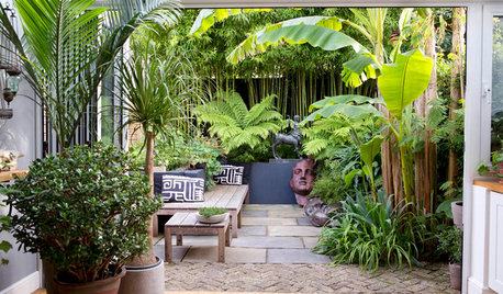 Best of the Week: 24 Ideas for Gardens That Don't Have a Lawn