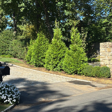 Privacy Screening Project - Greenwich, CT