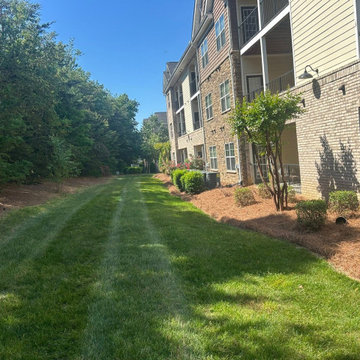 Custom Turf Landscape Area with Stone Border