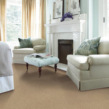 Living Room Ideas