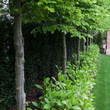 Garden Privacy