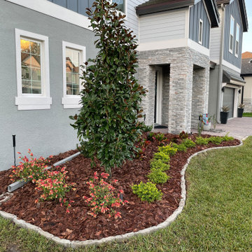Front Yard Landscape Design and Enhancement - A Small Oviedo Fl Project