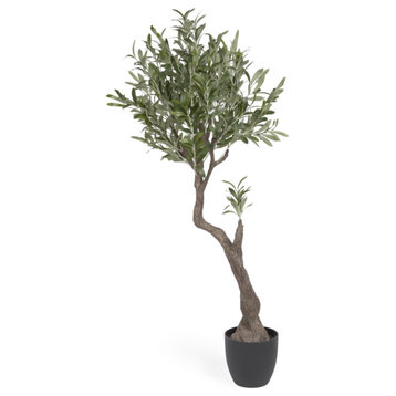 Black Potted Artificial Olive Trees Set (2) | La Forma Olivo