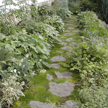 Paths