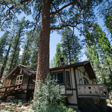 Big Bear Cabins
