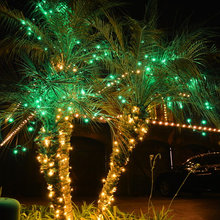 Christmas on The Coast!