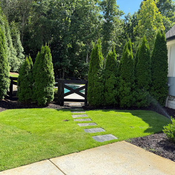 Renew Your Landscape and outdoor lighting LLC