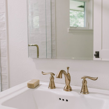 Organic Transitional Master & Hall Bathroom