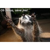 Vincent Lafazia's photo