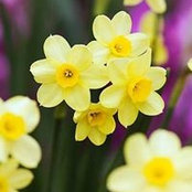 Gaye Rogers's photo
