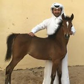 Fahed Mohammeds foto
