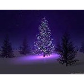 Vicki Joyner's photo
