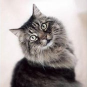 Catherine Chan's photo