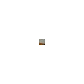 Chris Shastid's photo