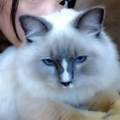 Sherry Li's photo