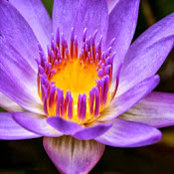 Jackie Biel's photo