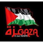 Wael Alaa Eldeen's photo
