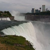 Tammy Pearce's photo