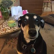 Deb Mendillo's photo