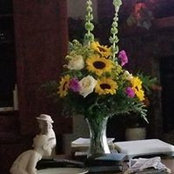 Linda Stanley's photo