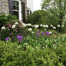 Garden Ideas