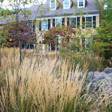 Griffiths Gardens