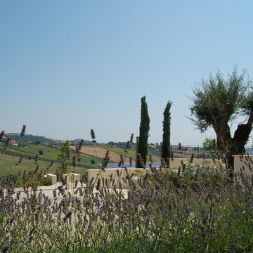 Into the Hill