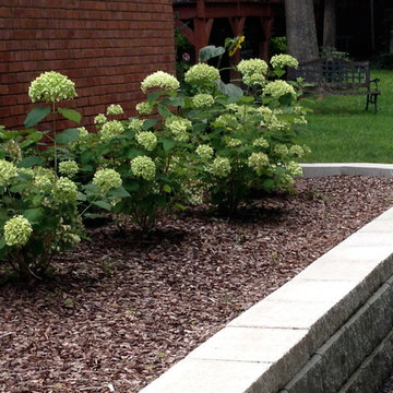 Raised Bed Flower/Vegtable Garden