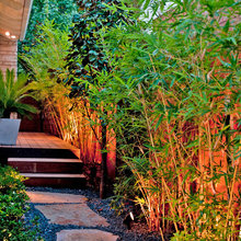 courtyard Ideas