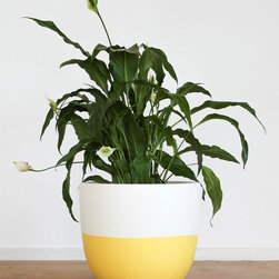 Pop & Scott Yellow Dipped Pot | Pop & Scott - Outdoor Pots And Planters