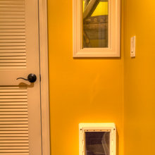 Doggie Door