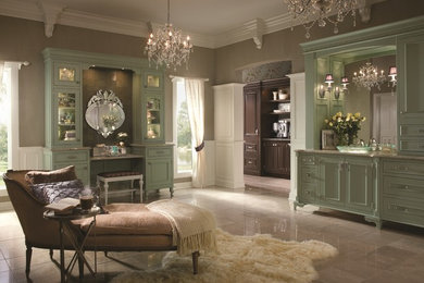 Inspiration for a large transitional master bedroom remodel in Chicago with brown walls and no fireplace