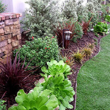 Outdoor Landscape