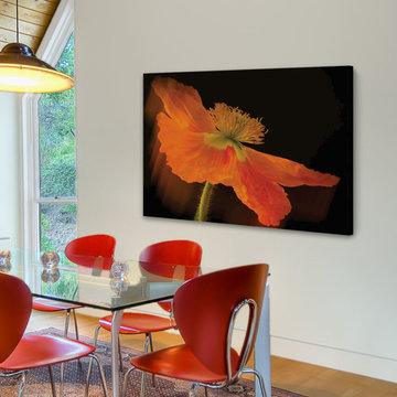 Dramatic Orange Poppy