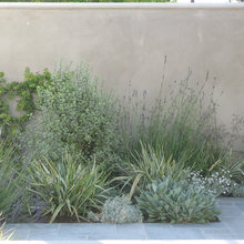 Landscape Ideas