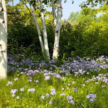 Pollinator garden with native plants and custom stone hardscapes