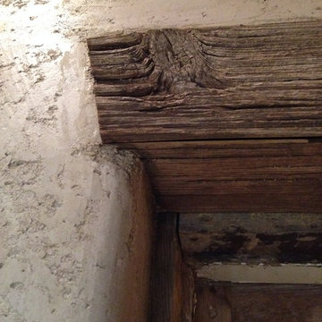 Wall Plaster
