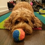 Alex Low's photo