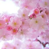 Ariane Salsa's photo