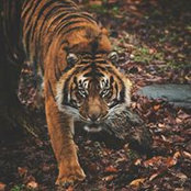 Foto di Andy Richards