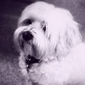 Amie Wiebe's photo