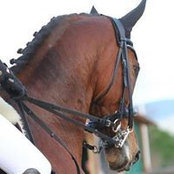 Foto von Ance Gmg