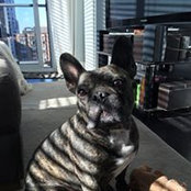 Greg Kyle's photo