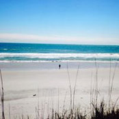 Nancy Yerinides's photo