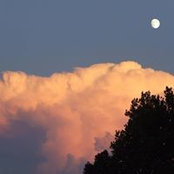 Sandra Peric's photo