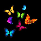 Amy Orr's photo