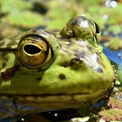 John Cleckler's photo